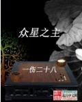 众星之主小说