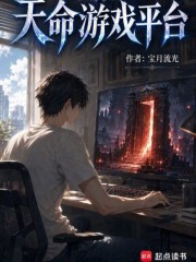天命游戏平台小说