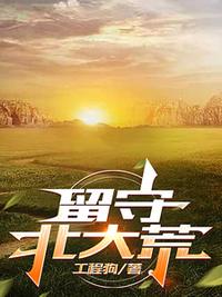留守北大荒小说