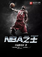 NBA之王小说