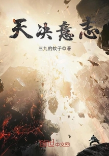 天决意志小说