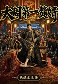 大周第一赘婿小说