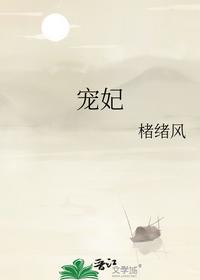 宠妃 - 楮绪风