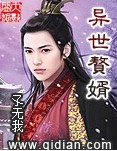 异世赘婿