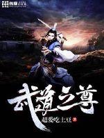 武道之尊小说
