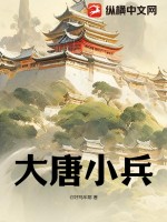 大唐小兵 - 你好鸡车耶