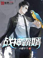 战神霸婿 - 小肥牛牛