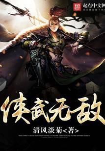 侠武无敌