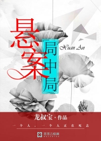 悬案局中局