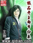 极品丹王都市归来