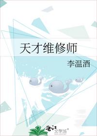 天才维修师