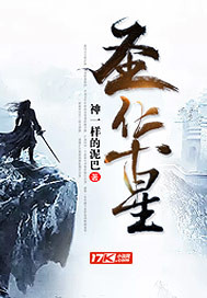圣华星小说