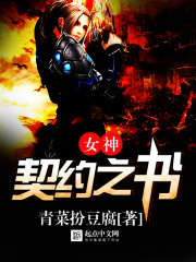 女神契约之书小说