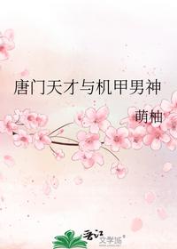 唐门天才与机甲男神